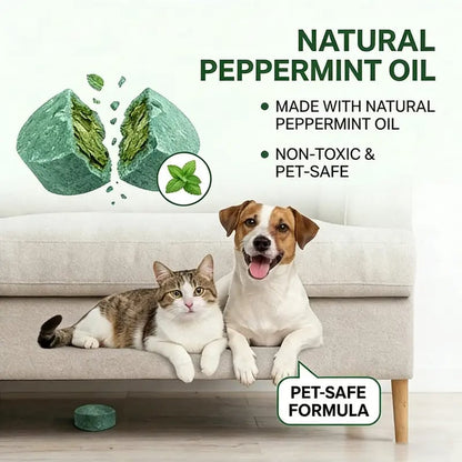 Peppermint Cinnamon Oil Mice Repellent
